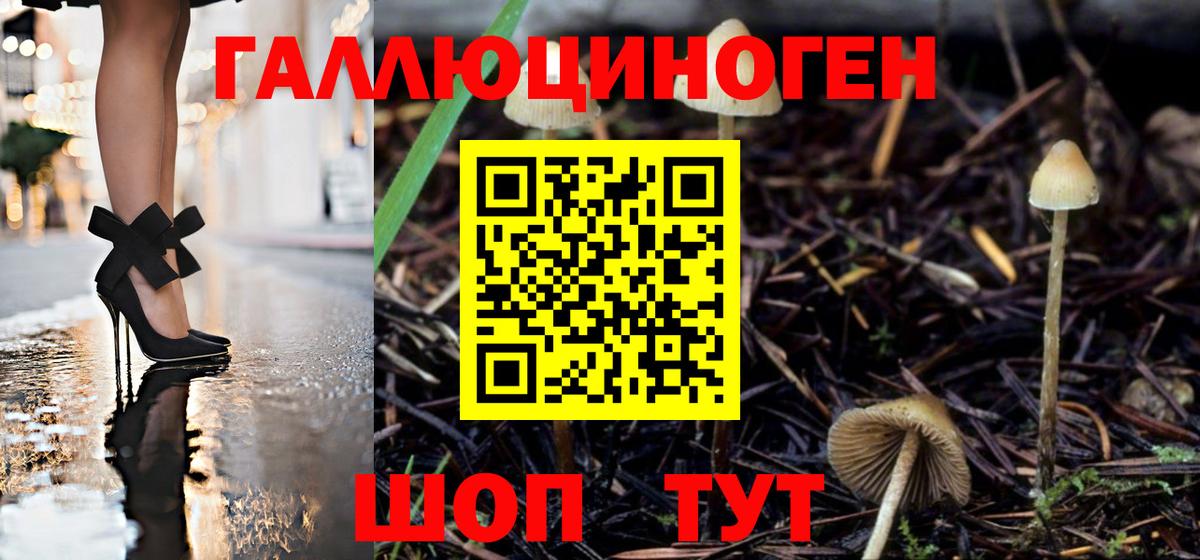 Псилоцибиновые грибы мицелий Богданович