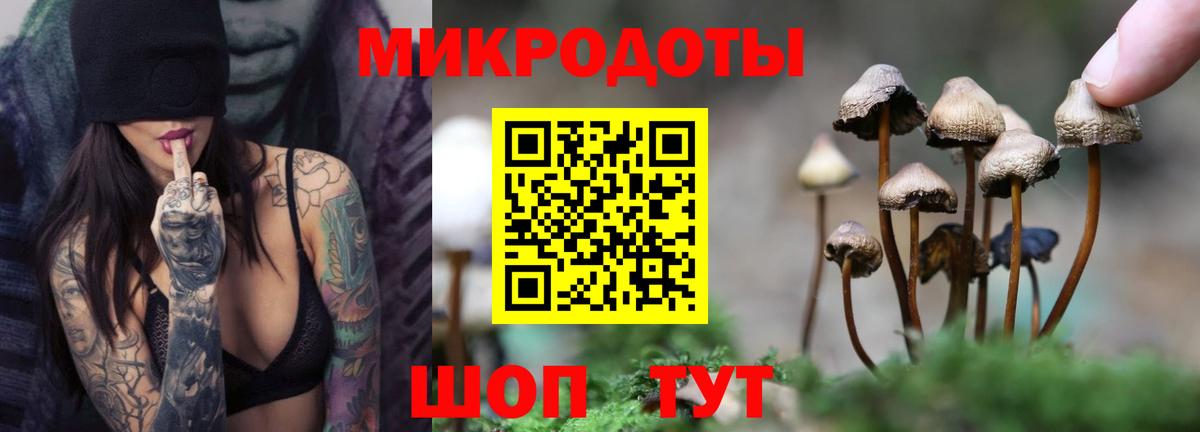 Галлюциногенные грибы Psilocybine cubensis  Вход с VPN  Богданович 